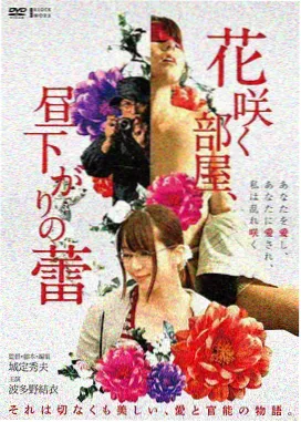 水手歌词现场演唱会版本示意